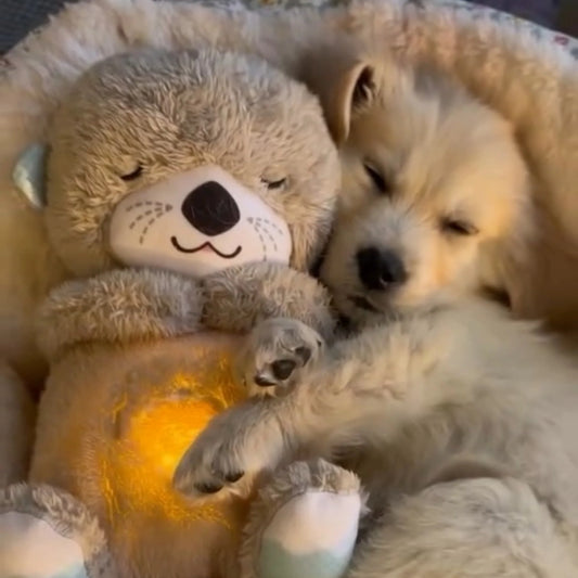 Peluche Otter Mascota Interactiva para Dormir/ Anti-estres/ Anti-ansiedad